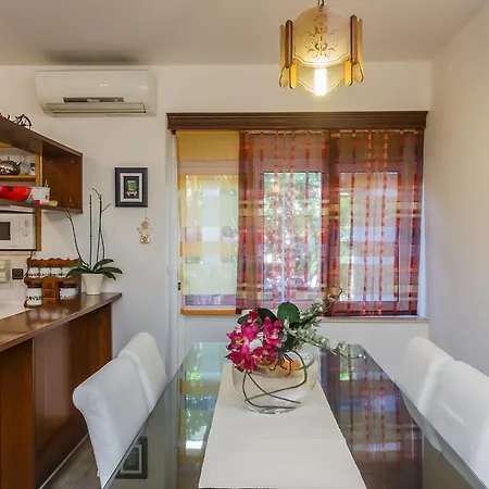 Apartment Ruzic *